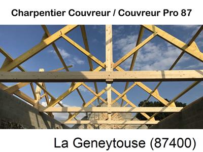 Couvreur pro 87 sur La Geneytouse-87400