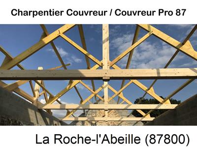 Couvreur pro 87 sur La Roche-l'Abeille-87800