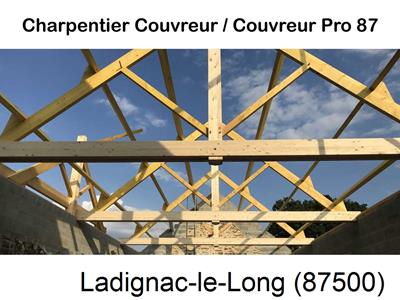 Couvreur pro 87 sur Ladignac-le-Long-87500