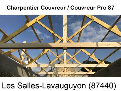 Couvreur pro 87 sur Les Salles-Lavauguyon-87440