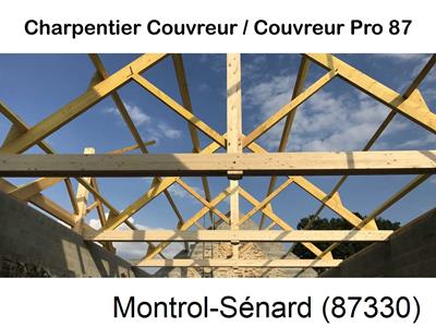 Couvreur pro 87 sur Montrol-Sénard-87330