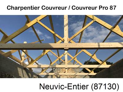 Couvreur pro 87 sur Neuvic-Entier-87130
