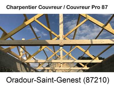 Couvreur pro 87 sur Oradour-Saint-Genest-87210