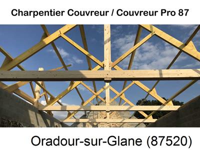 Couvreur pro 87 sur Oradour-sur-Glane-87520