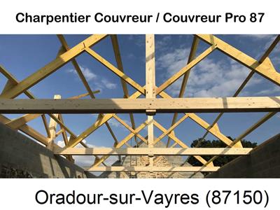 Couvreur pro 87 sur Oradour-sur-Vayres-87150
