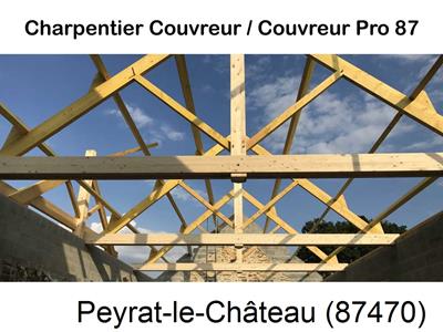Couvreur pro 87 sur Peyrat-le-Château-87470