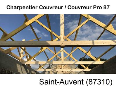 Couvreur pro 87 sur Saint-Auvent-87310
