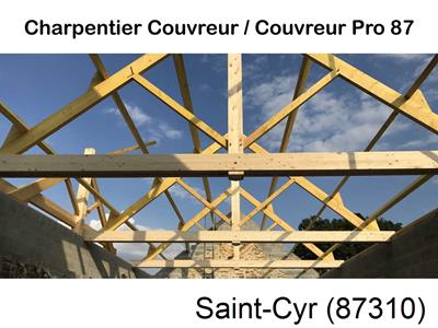 Couvreur pro 87 sur Saint-Cyr-87310