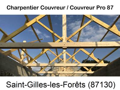 Couvreur pro 87 sur Saint-Gilles-les-Forêts-87130