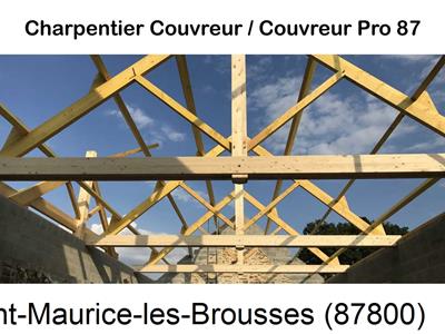 Couvreur pro 87 sur Saint-Maurice-les-Brousses-87800