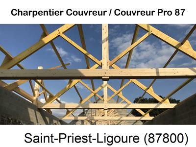 Couvreur pro 87 sur Saint-Priest-Ligoure-87800