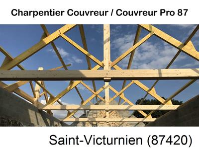 Couvreur pro 87 sur Saint-Victurnien-87420