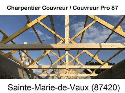 Couvreur pro 87 sur Sainte-Marie-de-Vaux-87420
