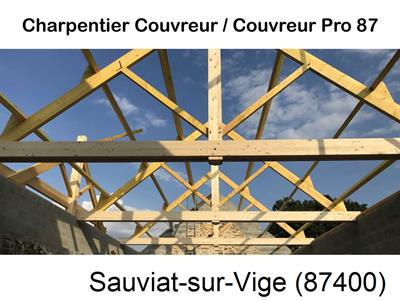 Couvreur pro 87 sur Sauviat-sur-Vige-87400