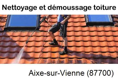 Entreprise de démoussage à Aixe-sur-Vienne-87700