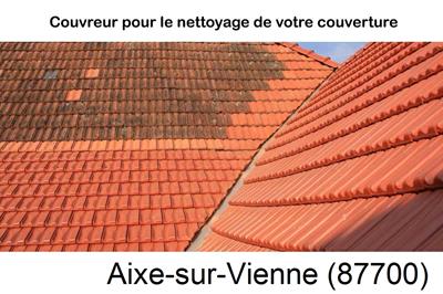 Toiture démoussage Aixe-sur-Vienne-87700