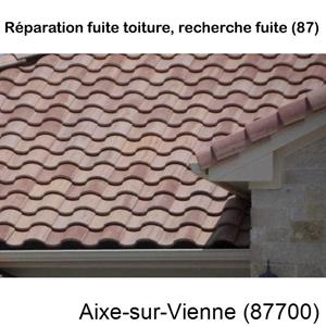 Votre couvreur pour la réparation des toits Aixe-sur-Vienne-87700