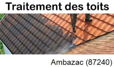 Démoussage sur toiture ardoise et tuile Ambazac-87240