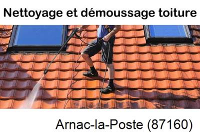 Artisan couvreur propose anti-mousse à Arnac-la-Poste-87160