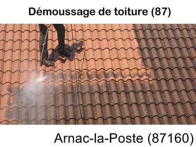 Toiture démoussage Arnac-la-Poste-87160