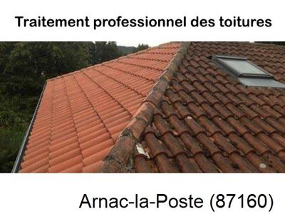 Couvreur pro 87 sur Arnac-la-Poste-87160