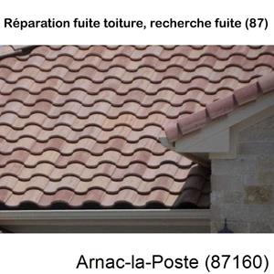 Votre couvreur pour la réparation des toits Arnac-la-Poste-87160