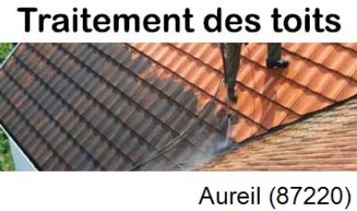 Démoussage sur toiture ardoise et tuile Aureil-87220