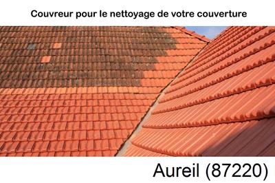 Entreprise de couverture à Aureil-87220