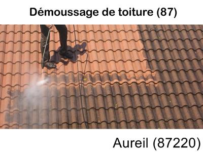 Toiture démoussage Aureil-87220