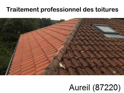 Couvreur pro 87 sur Aureil-87220