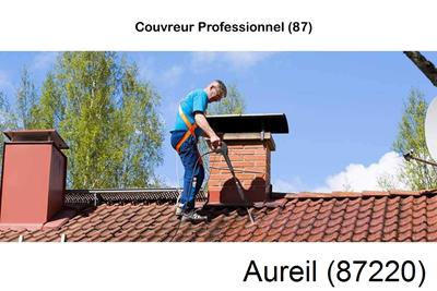 Couvreur à Aureil-87220