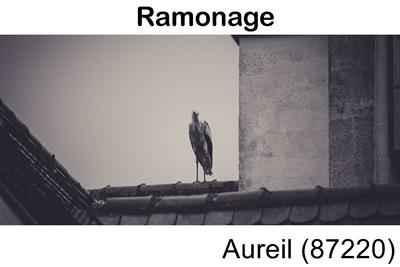 Votre couvreur pour un ramonage Aureil-87220