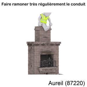 couvreur-ramoneur à Aureil-87220