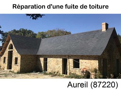 Artisan couvreur à la recherche d'une fuite Aureil-87220