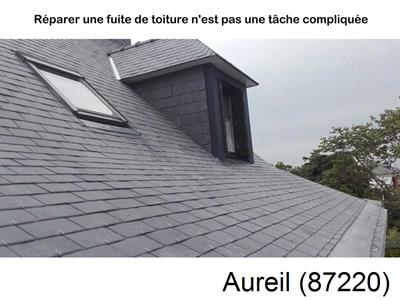 Entreprise de couverture à Aureil-87220