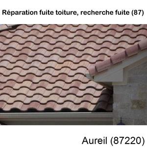 Votre couvreur pour la réparation des toits Aureil-87220