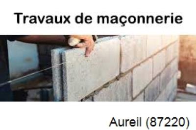 Votre maçon disponible à Aureil-87220