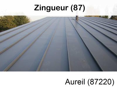 Votre zingueur en image à Aureil-87220