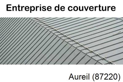 Couvreur pro 87 Aureil-87220