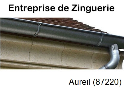 Artisan couvreur zingueur Aureil-87220