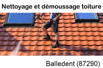 Artisan couvreur propose anti-mousse à Balledent-87290