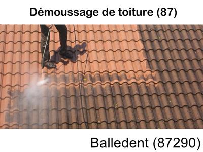 Toiture démoussage Balledent-87290