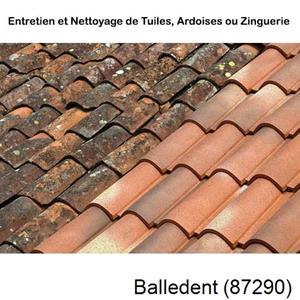 Nettoyage toiture à Balledent-87290