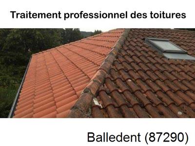 Couvreur pro 87 sur Balledent-87290