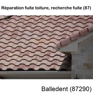 Votre couvreur dans le 87 pour la réparation de votre couverture à Balledent-87290