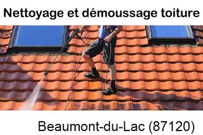 Artisan couvreur propose anti-mousse à Beaumont-du-Lac-87120