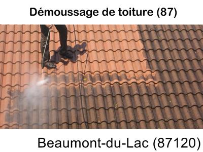 Toiture démoussage Beaumont-du-Lac-87120