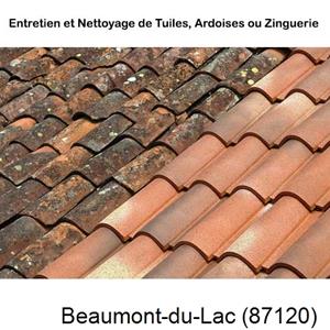 Nettoyage toiture à Beaumont-du-Lac-87120