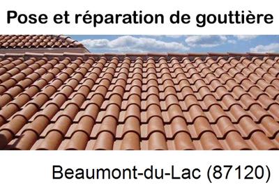 entreprise de gouttière à Beaumont-du-Lac-87120