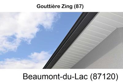 gouttière alu à Beaumont-du-Lac-87120